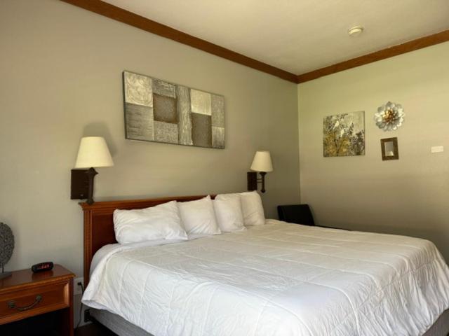 Qualla Cabins And Motel Cherokee Near Casino Whittier Extérieur photo